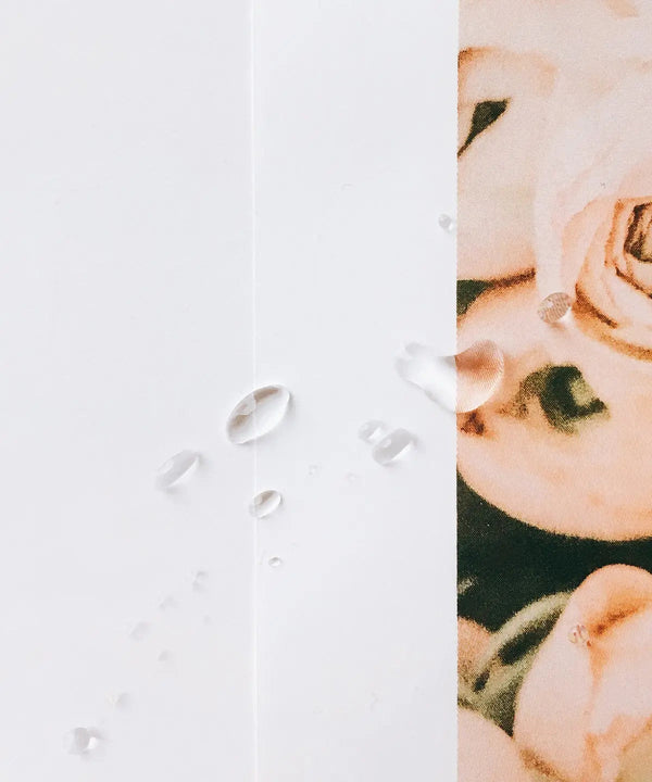 Allantoin Serum Water - Our Concept Beauty